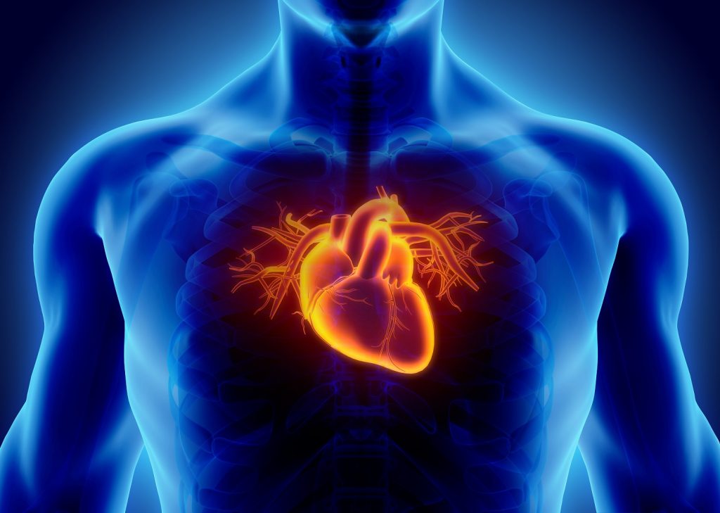 prevenzione cardiovascolare